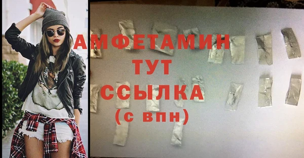 гидра Мегион